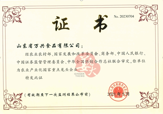 重点龙头企业.png